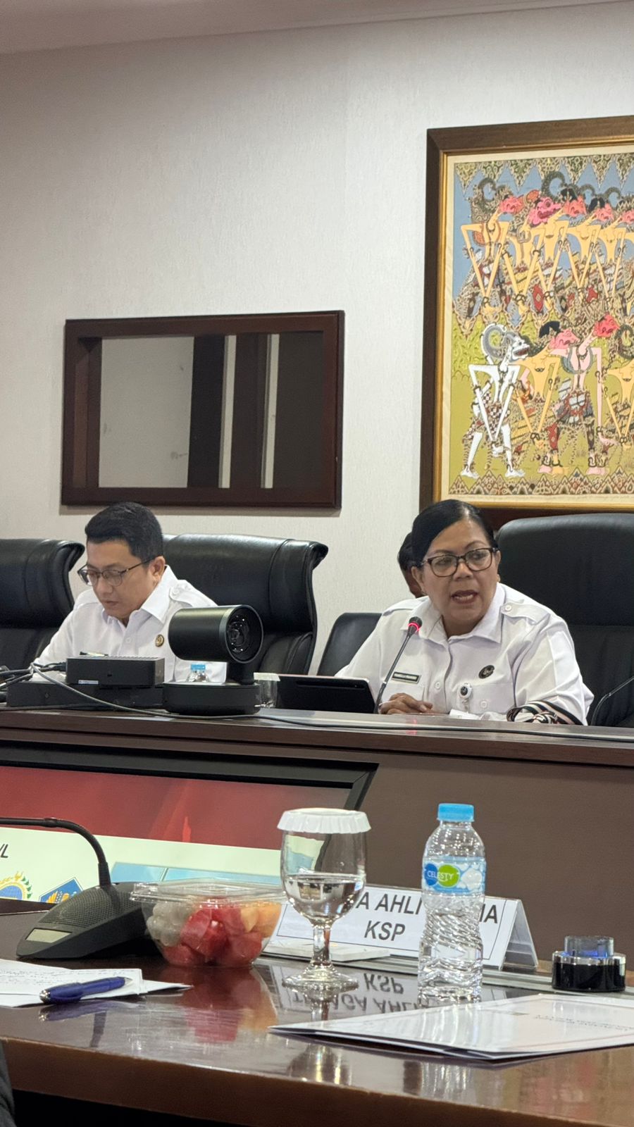 WhatsApp Image 2025 05 15 at 11.08.50