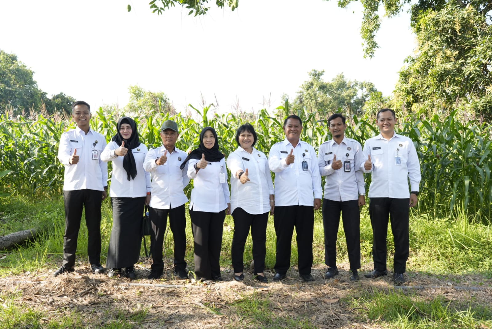 4f192c40 75b5 4ee2 aa0c 75f7abbb5ed9