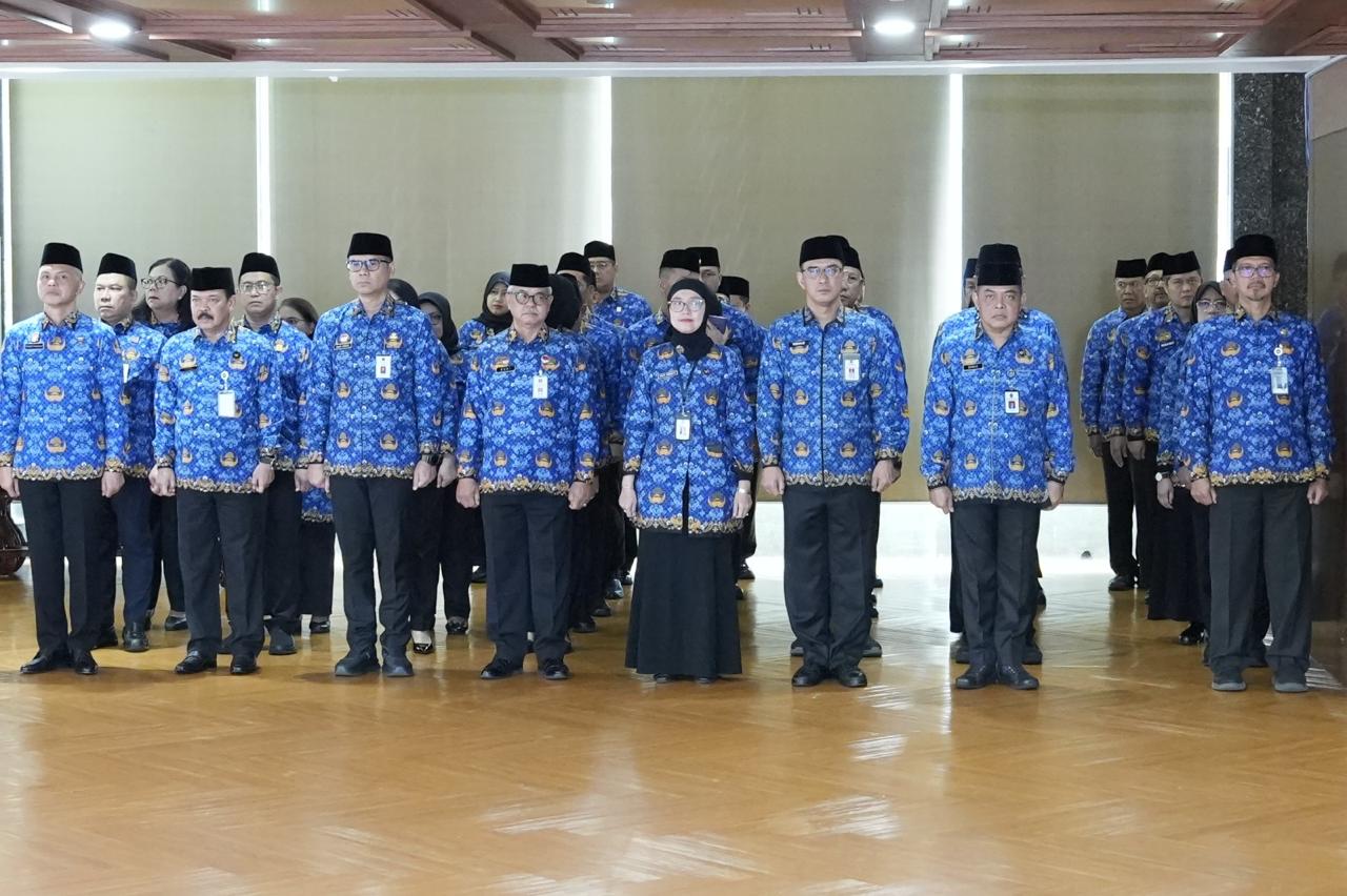 WhatsApp Image 2025 12 19 at 09.33.07